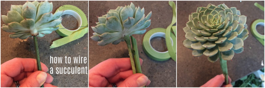 how to wire a succulent tutorial by Alison Ellis