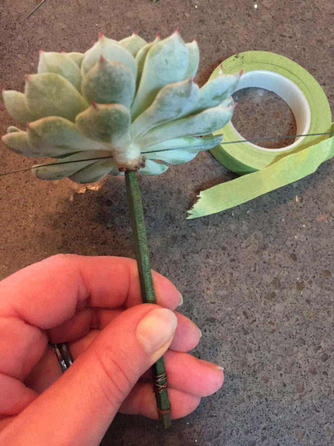 how to wire a succulent