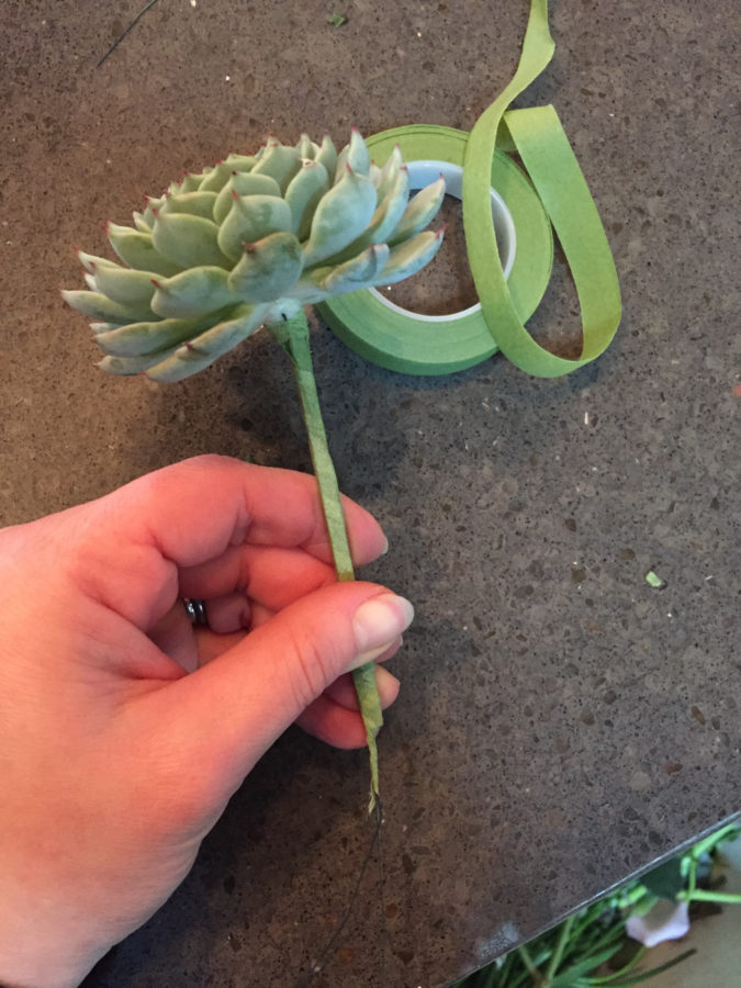 how to wire a succulent, florist education, realflowerbusiness.com