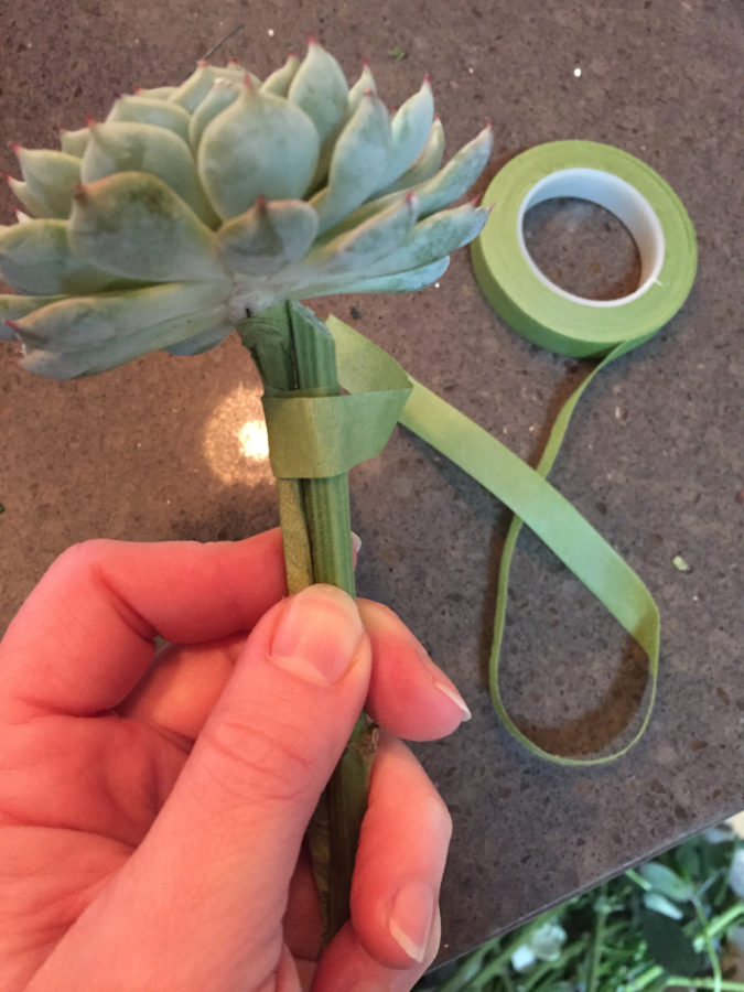 how to wire a succulent for a bridal bouquet, floral tutorial by Alison Ellis